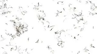xscreensaver Interaggregate