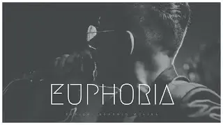 Agrupación Euphoria - La gata bajo la lluvia (Single) (Promoción) (2023)