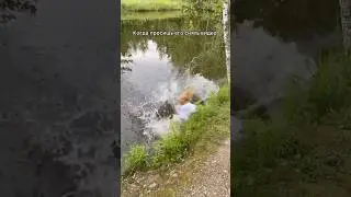 Как вынести ему мозг 😂 #юмор