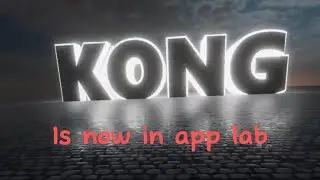 Playing kong!