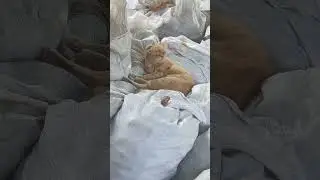 1 сентября 2024 г.