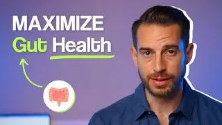Do THIS to INSTANTLY Improve Your Gut Health with Doctor Mike Hansen