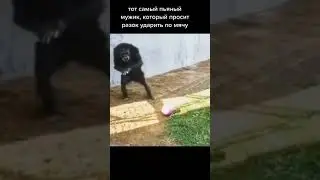 #жиза