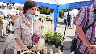 ЛЕЧЕБНЫЙ БАЛЬЗАМ НА ТРАВАХ