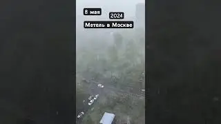 Метель в Москве 8 мая 2024