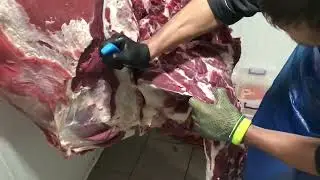Разделка говяжьей коробки