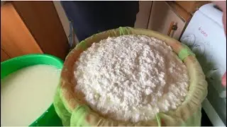 The most delicious homemade cottage cheese