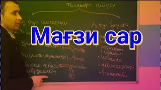Мағзи сар. (Биология синфи 9\06).