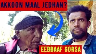 Akkoon Maal jedhu? 🔴 Eebba, Gorsaaf Seenaa!!