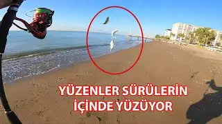 ÇILGIN BİR AV... YÜZENLER SÜRÜLERİN İÇİNDE YÜZÜYOR... ŞAŞKINLIĞIMI GİZLEYEMEDİM
