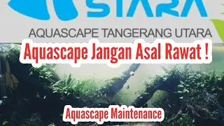 Aquascape tutorial 