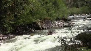 Washington River