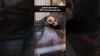 🔬 Можно ли увидеть атом? 