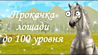 ✨Прокачка лошади до 100 уровня✨||WildCraft