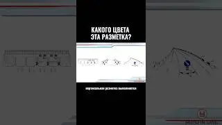 Какого цвета эта разметка? #автошкола #новости #классвождения