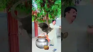 Bakra 🤣😍😅 #comedy #funny #song #bachri #viralvideo #viralshort #vlog #trending #shorts