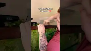 This Axolotl Got A New Tank… Then This Happened