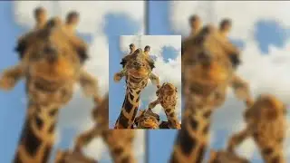 gangnam style - sped up
