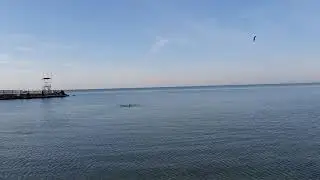 Анапа. Купание в НОЯБРЕ!