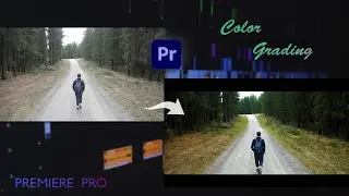 Color Grading in Premiere Pro |  Cinematic Look |   Premiere Pro Tutorial |