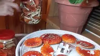 Сушим мухоморы для микродозинга
