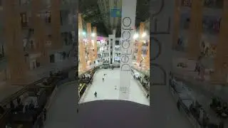 17 августа 2024 г.