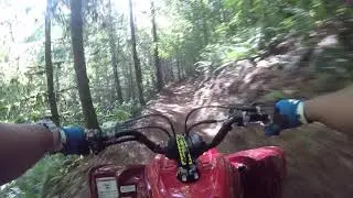 2019 Yamaha Raptor 700R SE - Capitol Forest, Waddell East