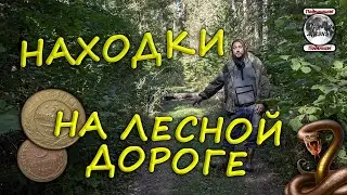 Находки на лесной дороге. Сохран монет просто бомба. Встретилась Гадюка.