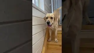 Дени переживает за Мэни🙈