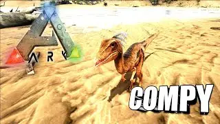 Taming A Compy | Ark Survival Evolved | The Island
