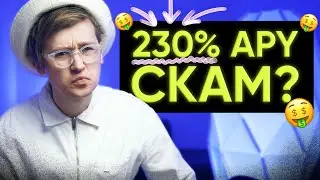 230% годовых на NFT площадке. Paras.id на Near Protocol