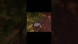 RDR2 NPC can break the rope and get out