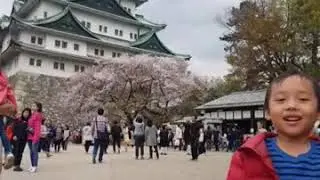 🧡💜Japan trip 11-15 April 19 🧡💜(5)