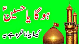 ho ga ya hussain | ho ga ya hussain nadeem sarwar | muharram green screen status |
