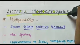 Listeria monocytogenes | Microbiology | Handwritten notes