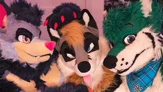Furry Hotel Room 