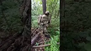 Всё кто идут служить, делиться на 4 группы