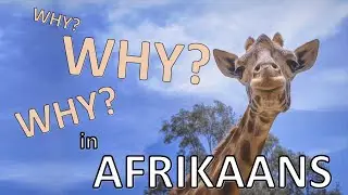 Learn Afrikaans: Asking WHY?