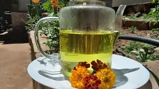 Marigold health benefits | How to make marigold tea