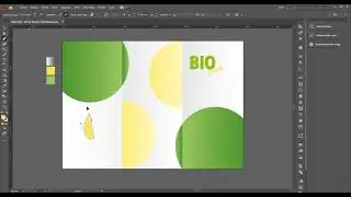 Brochure design in Adobe Illustrator