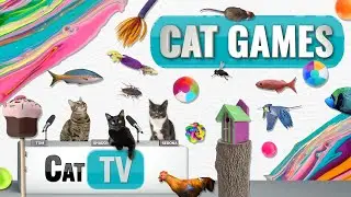 CAT Games | Ultimate Cat TV Compilation Vol 70 | 2 HOURS 🐝🐞🦋🦎🦜🐜🐭🧵