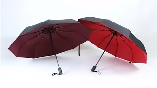 Best 5 Amazing Automatic Umbrella