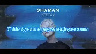 Текст песни SHAMAN Улетай. или. Улетай в на крыльях ветра ты в край родной... ps ЛисаВолк