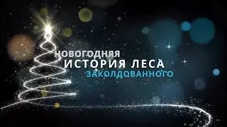 Новогодняя история заколдованного леса