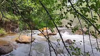 #nature To'lib oqayotgan soy suvi....A beautiful miracle given to nature.