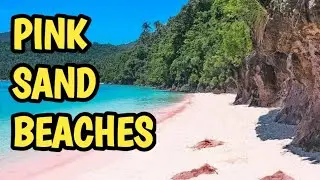 Discover the World's Most Stunning Pink Sand Beaches