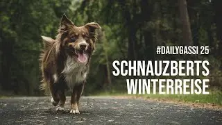 Schnauzberts Winterreise - Adventskalender für Hunde [DailyGassi #25]