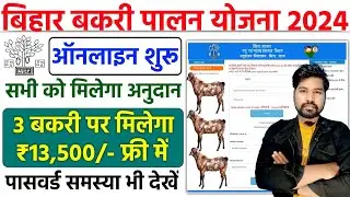 Bihar Bakri Palan Yojana 2024 Online Apply | Bihar Bakri Palan Yojana Online Kaise Karen 2024