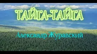 ТАЙГА-тайга