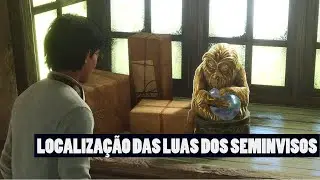 LOCALIZAÇÃO DAS 9 LUAS INICIAIS DOS SEMINVISOS - HOGWARTS LEGACY